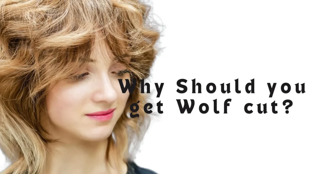 Why Should you get Wolf cut?