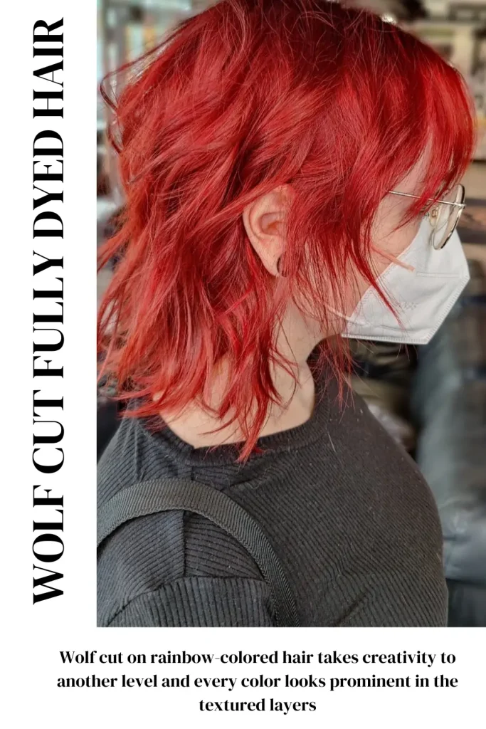 Wolf Cut Fully Dyed Hair