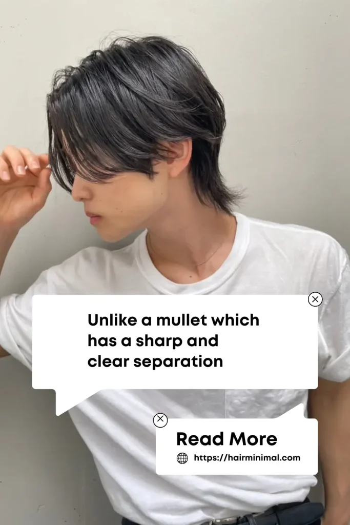 Wolf cut is different for mullet