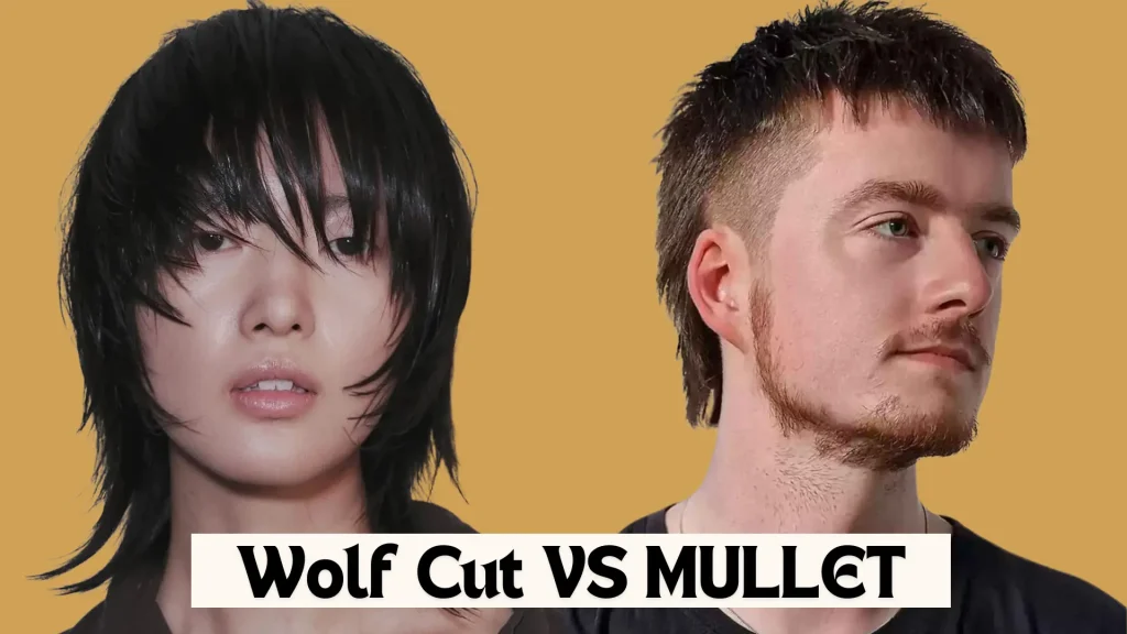 Wolf vs mullet