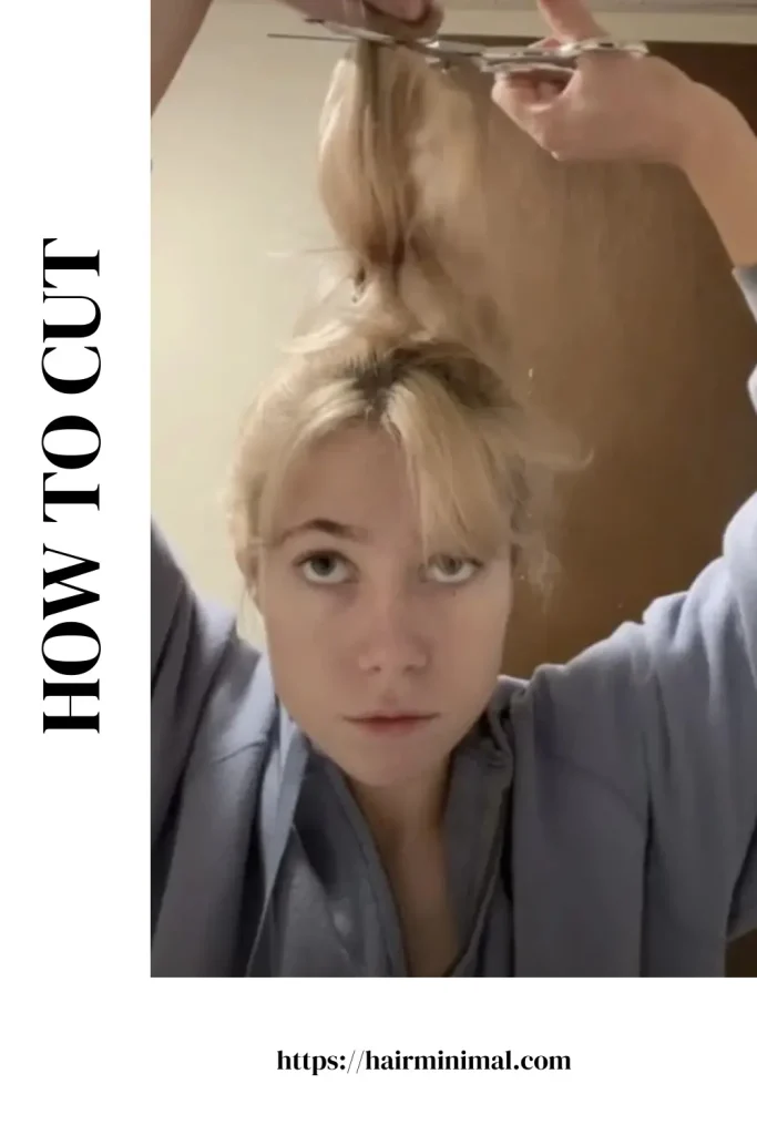 how to cut wolf cut