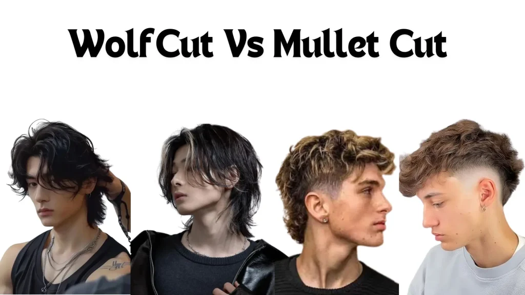 wolfcut vs mullet men