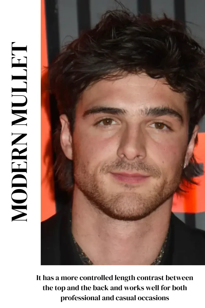 Modern Mullet Haircut Men