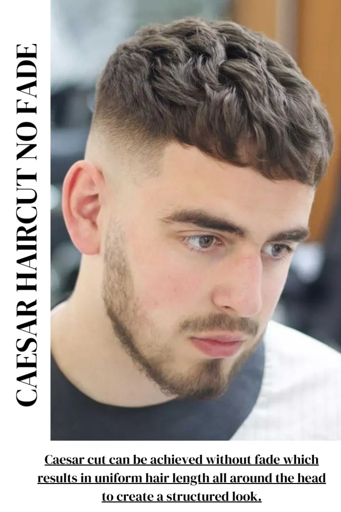 Caesar Haircut No Fade