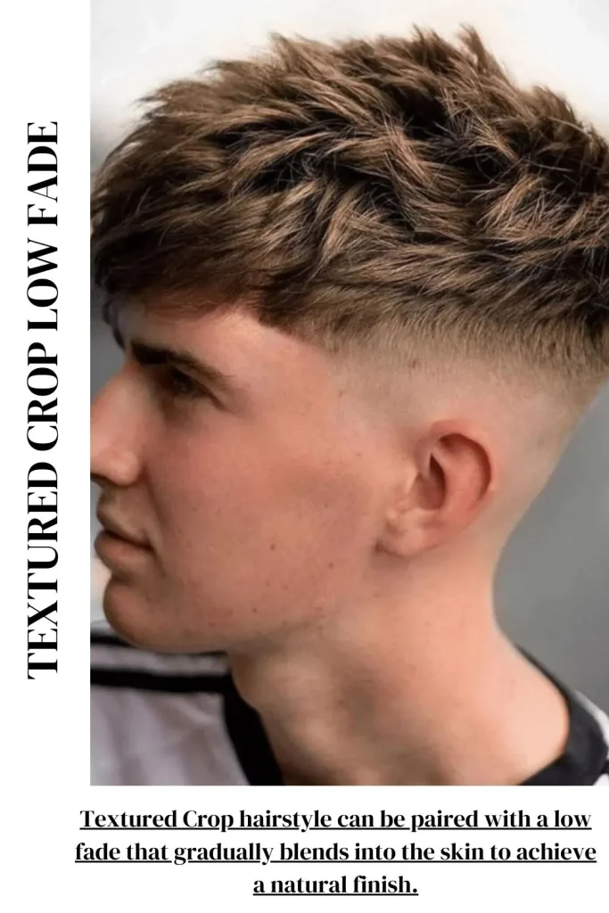 Textured Crop Low Fade